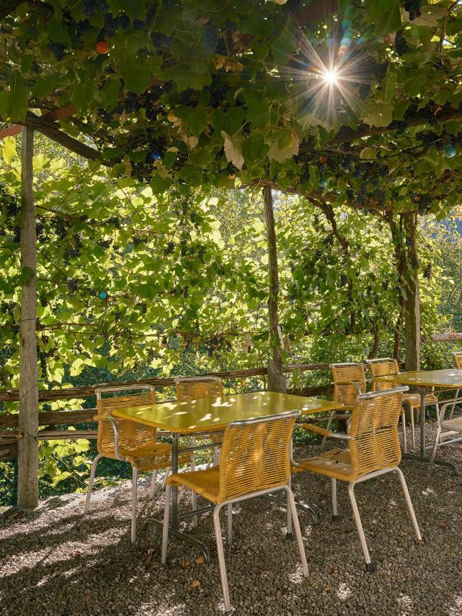 Osteria Gruetli Con Alloggio Borgnone Eksteriør bilde